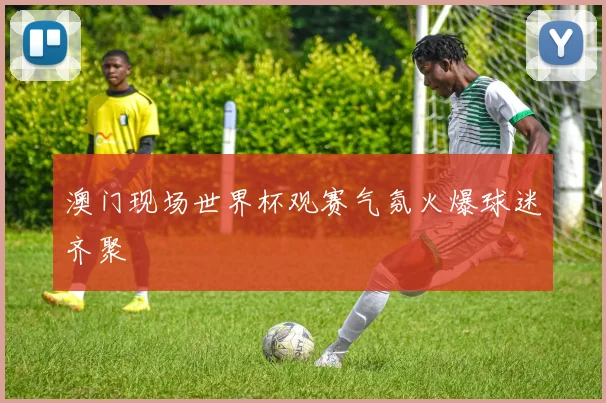 澳门现场世界杯观赛气氛火爆球迷齐聚