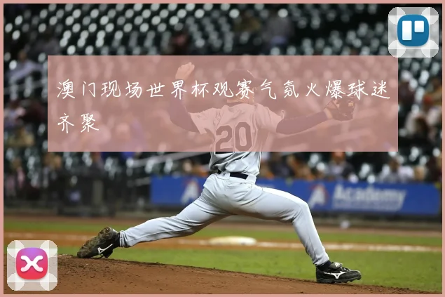 澳门现场世界杯观赛气氛火爆球迷齐聚