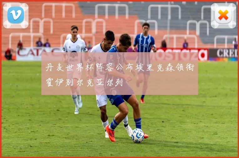 丹麦世界杯阵容公布埃里克森领衔霍伊别尔克亚尔列
