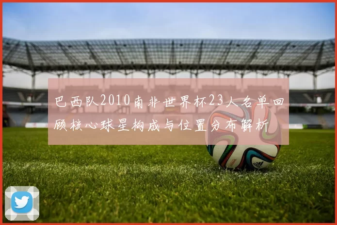 巴西队2010南非世界杯23人名单回顾核心球星构成与位置分布解析
